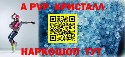 молекула духа Кингисепп