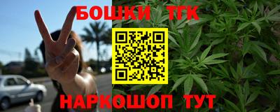 молекула духа Кингисепп