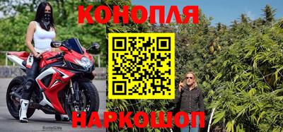 молекула духа Кингисепп