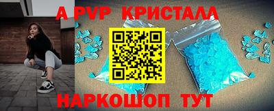молекула духа Кингисепп