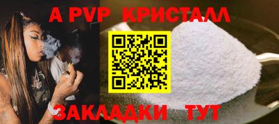 молекула духа Кингисепп