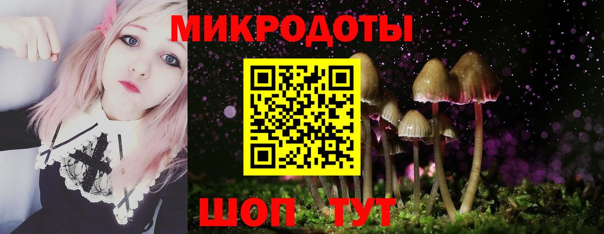 Псилоцибиновые грибы MAGIC MUSHROOMS Волоколамск